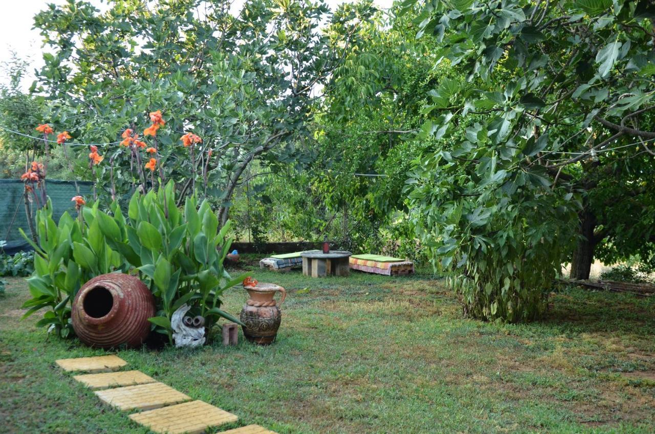 Villa Doloi Garden House Málta Esterno foto